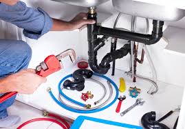 Best Trenchless Pipe Repair  in Imlay City, MI